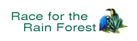 Race for the Rainforest