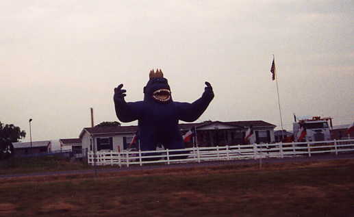 A giant gorilla